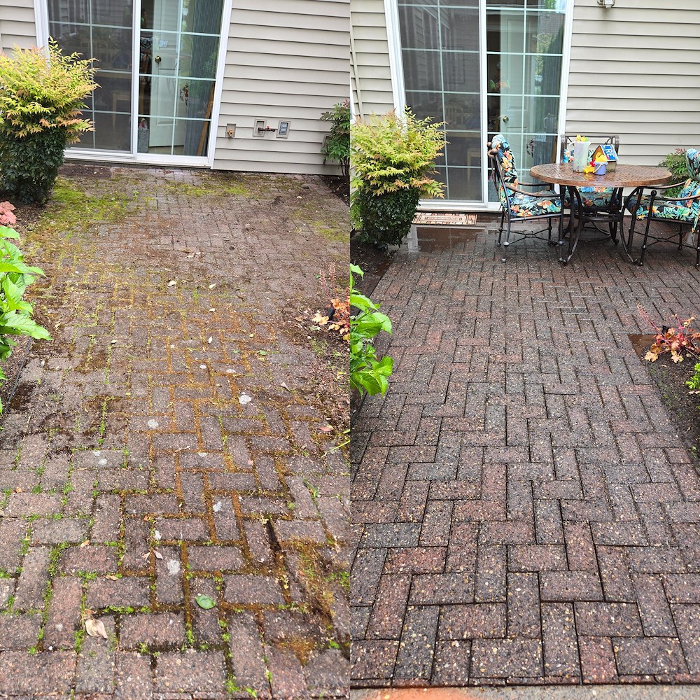 Paver patio cleaning before and after picture