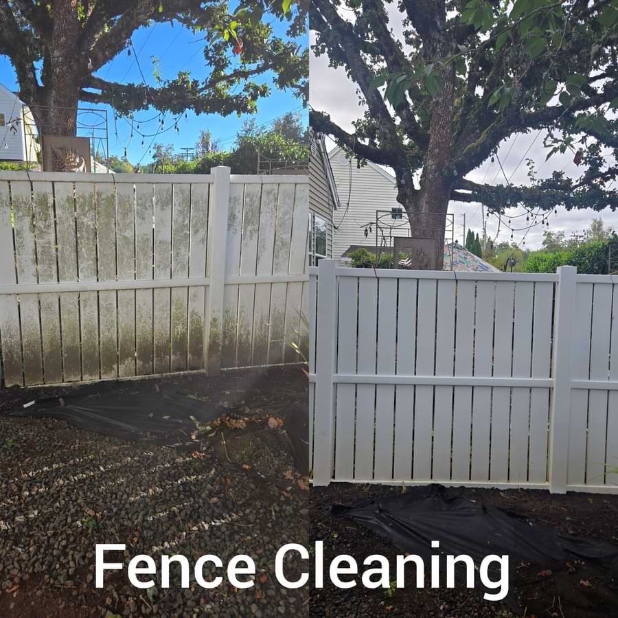 Before and After Fence Cleaning