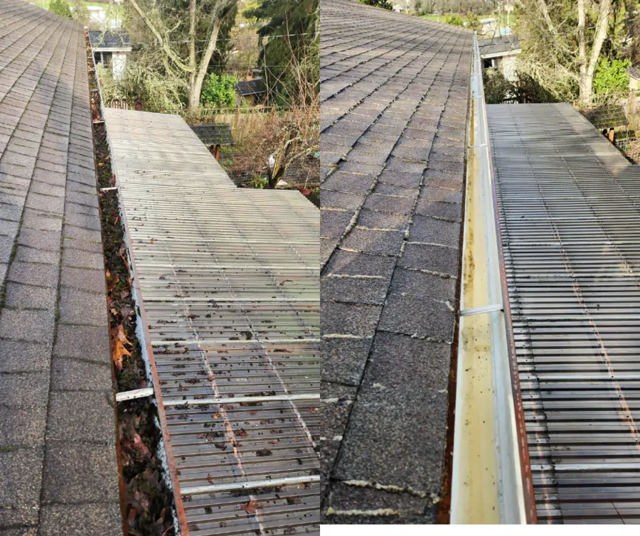 roof-gutter-cleaning-residential